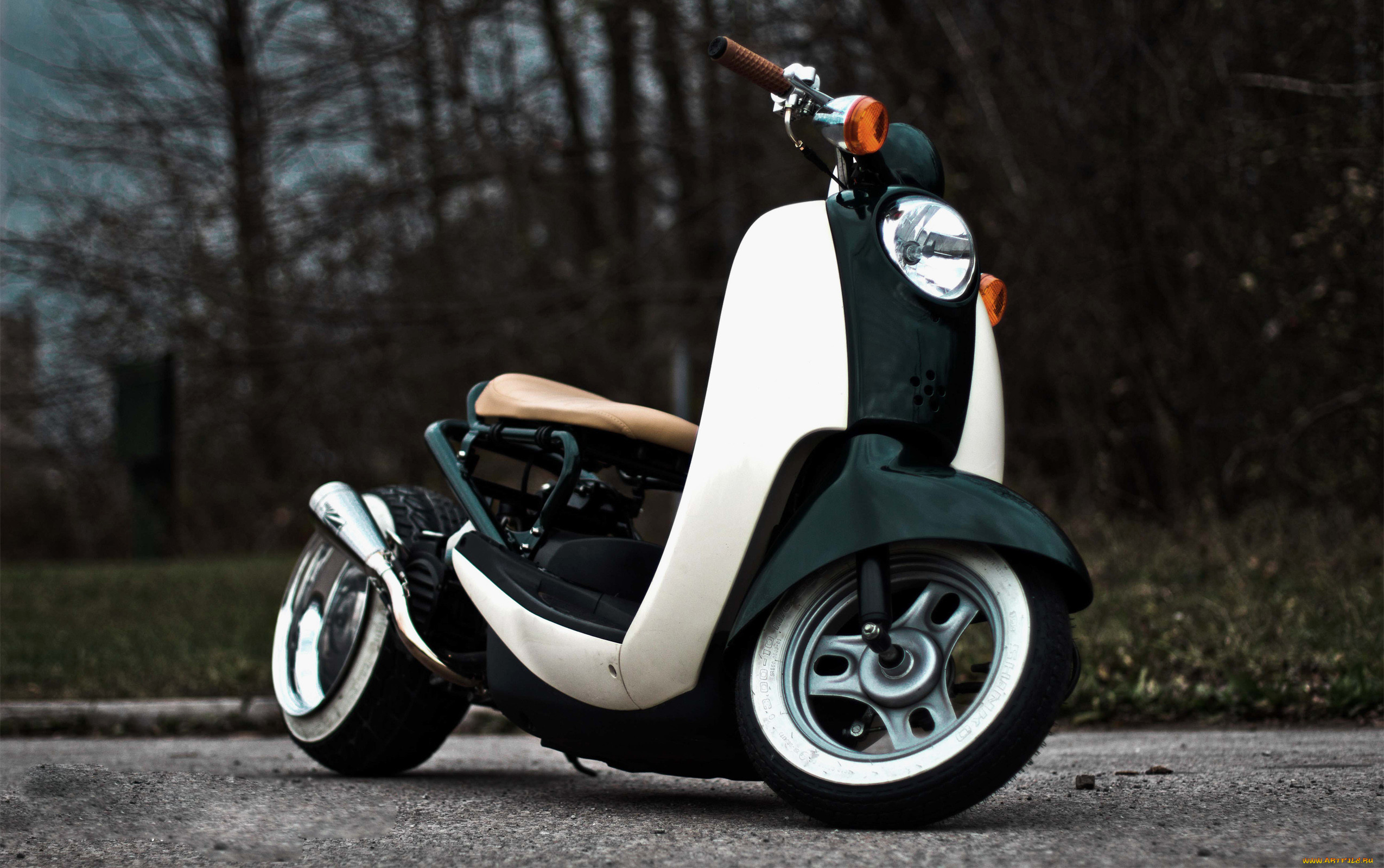 Custom Scoopy кастом Honda